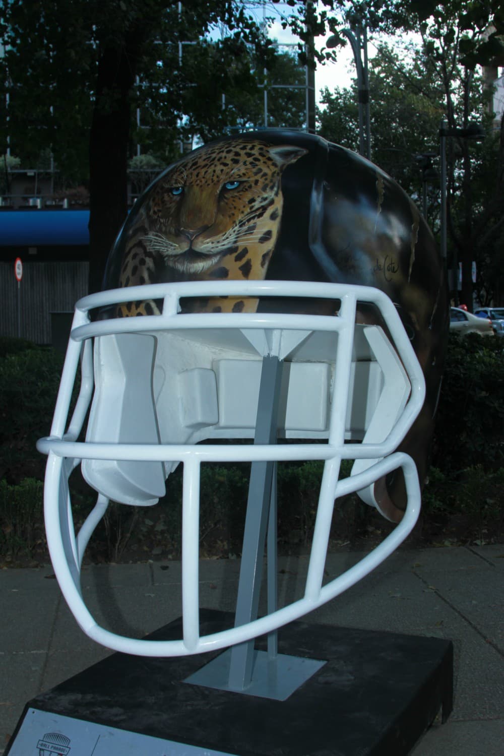 Jacksonville Jaguars