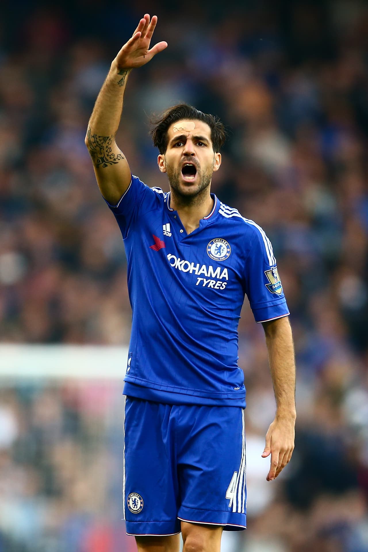 Cesc Fábregas hace autocrítica en Chelsea y exime de la culpa a Mourinho 