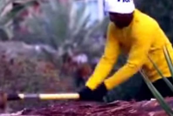 Los tres troncos que uso para cortar madera fueron traídos desde Big Bear, pesan cerca de 700 mil libras cada uno.