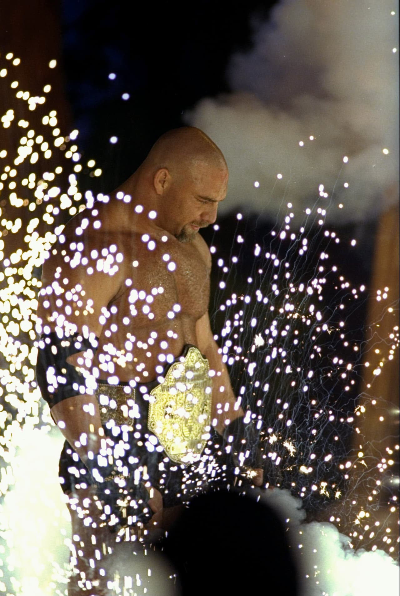 Bill Goldberg - Su inicio en del deporte lo hizo como ala defensivo en Los Angeles Rams de la NFL, pasó por los Atlanta Falcons y los Carolina Panthers. Luego, una lesión lo sacó de este deporte y se inclinó por la lucha libre en Japón hasta que la WWE lo contrató en el 2003.