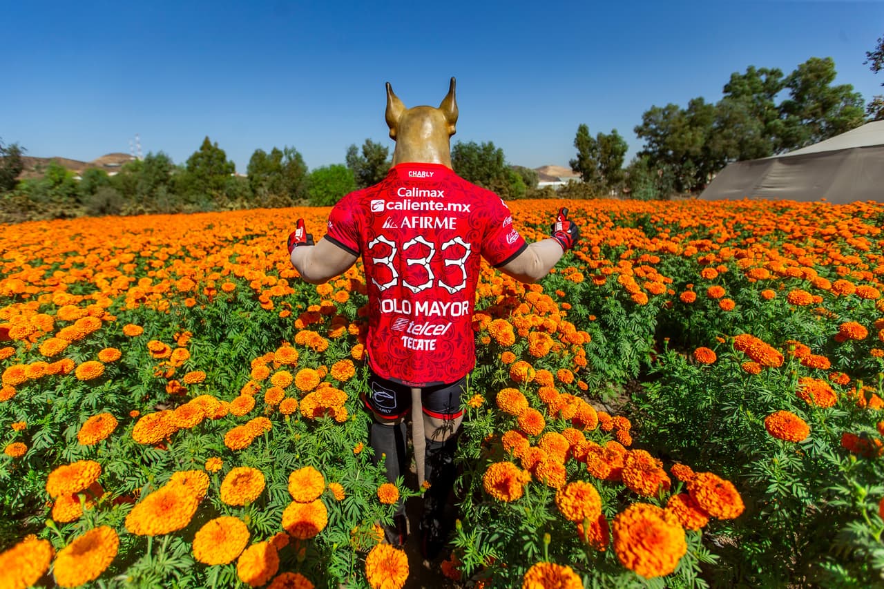 Equipos de diversos deportes, desearon feliz Día de Muertos, tradición mexicana que le ha dado la vuelta al mundo.