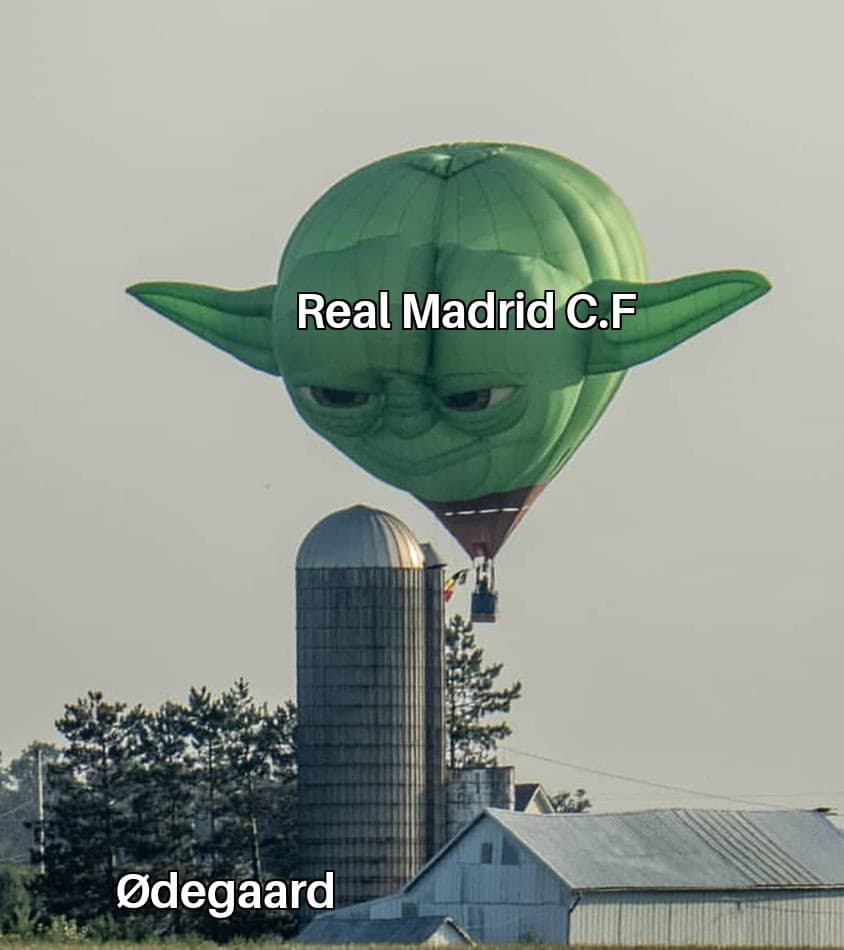Los memes haciendo leña del árbol caído (Real Madrid).