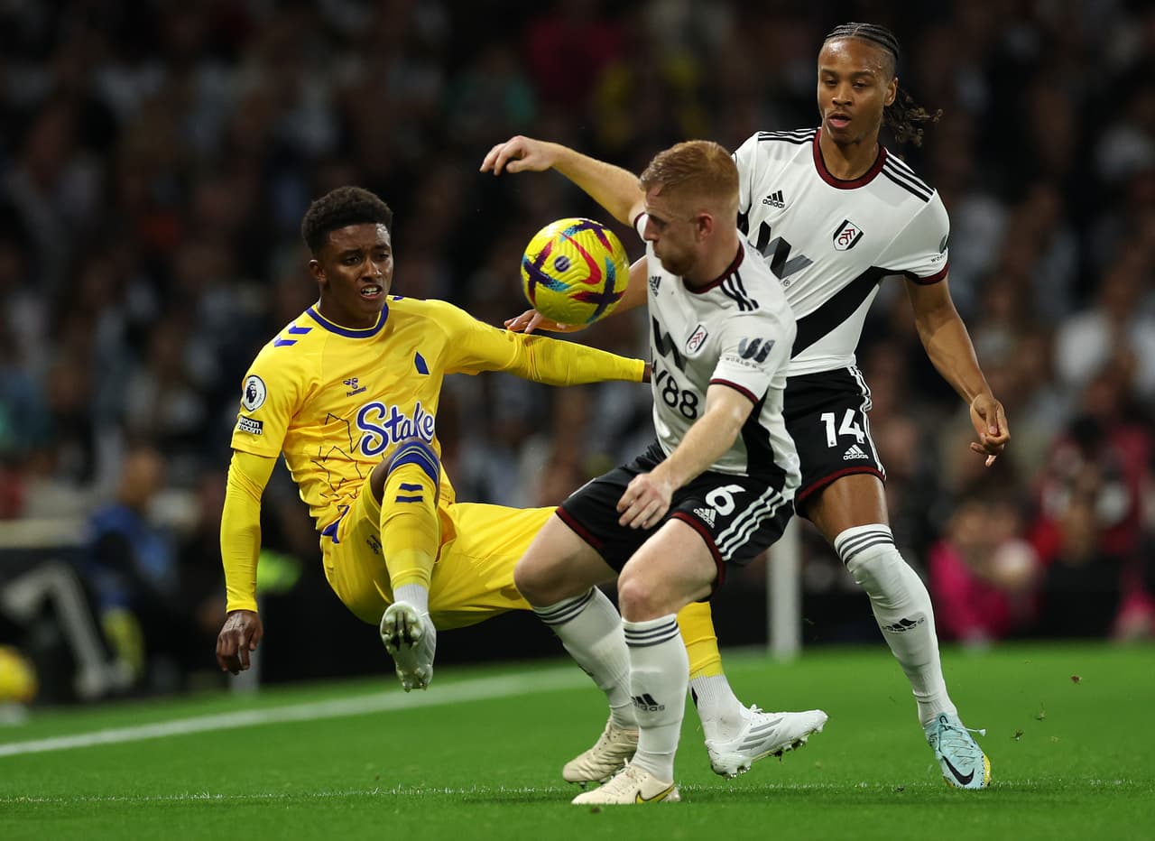 Fulham y Everton no se hicieron daño en el encuentro que terminó sin goles.