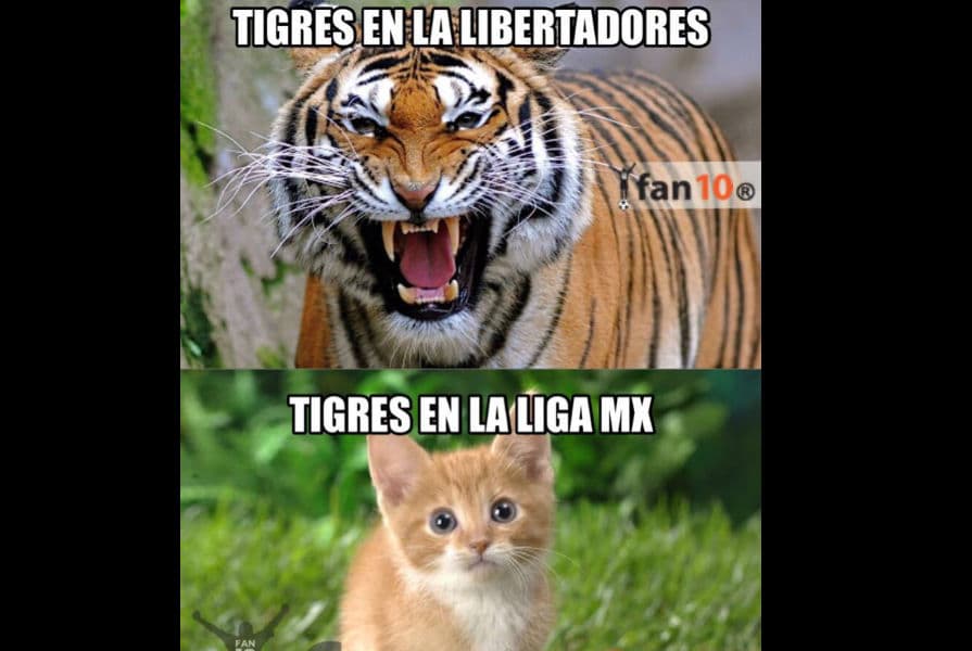 Memes Jornada 1 Apertura 2015