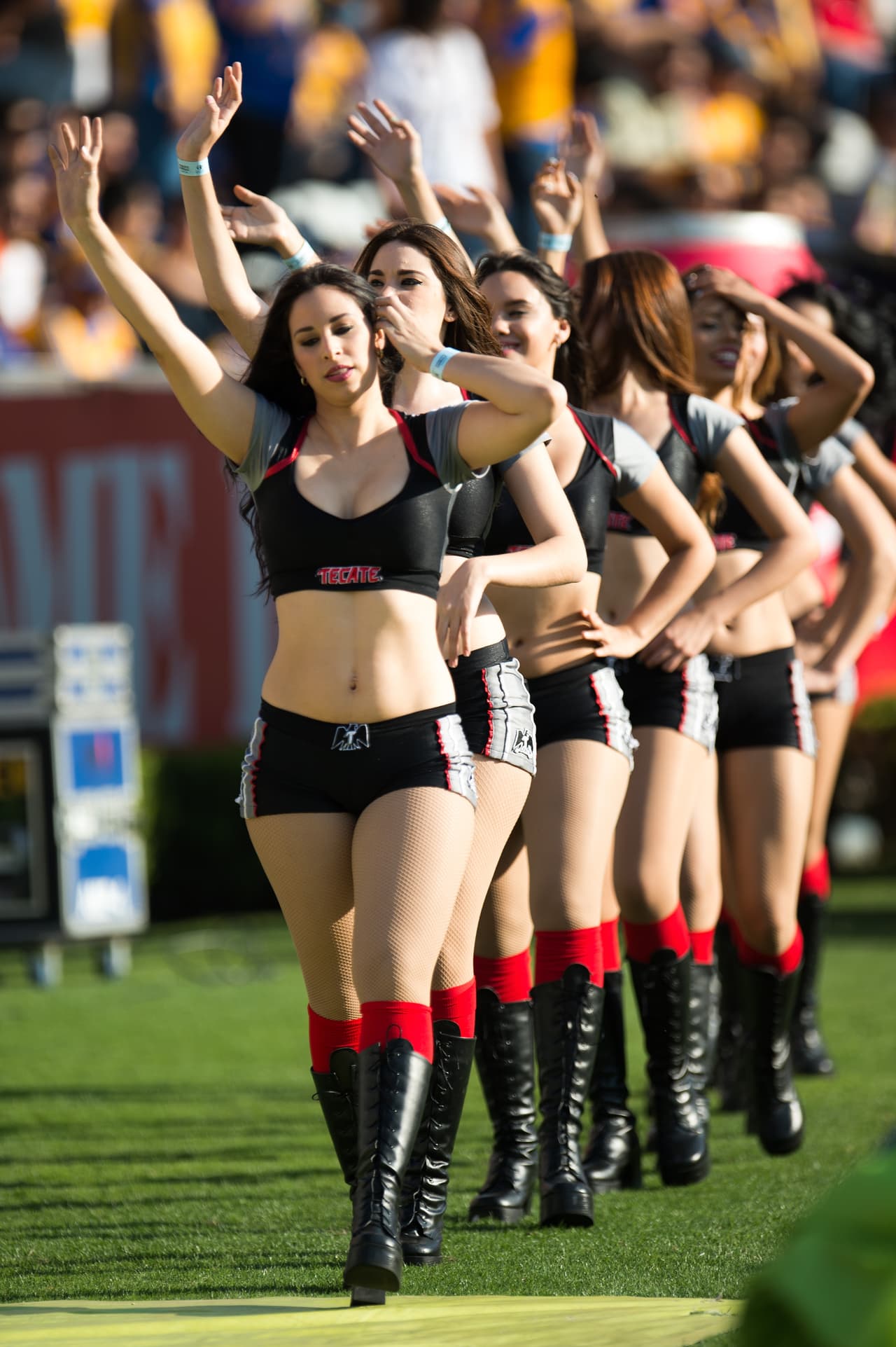 La belleza de las porristas en la fecha 14