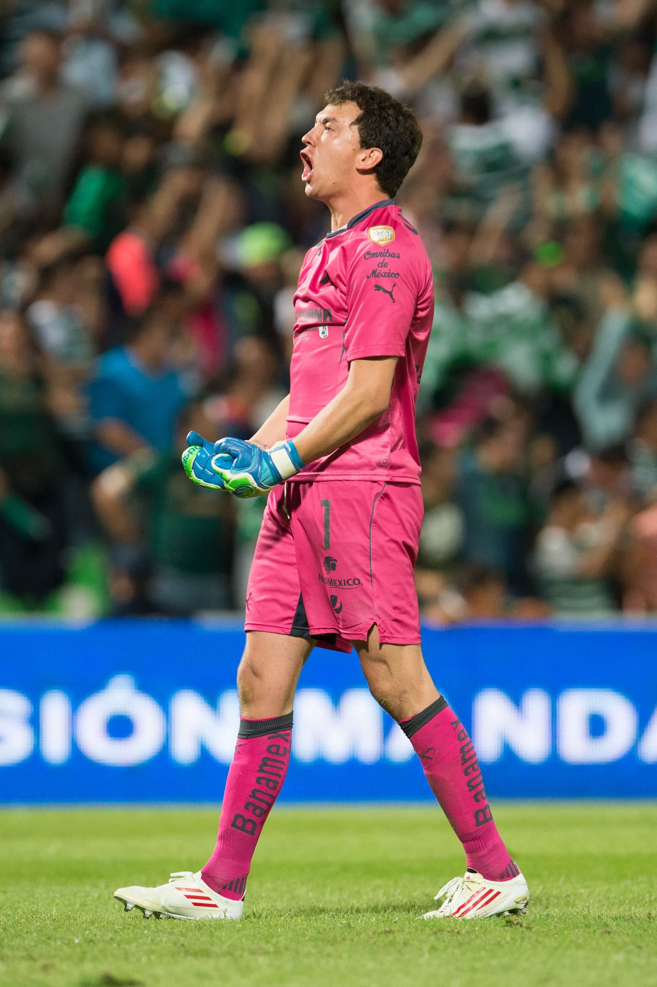 Un torneo le ha bastado a Agustín Marchesín para convertirse en figura en México. El arquero argentino, sólo debe confirmar lo que ya enseñó y que además le llevó a ser parte de la selección de su país en Copa América.