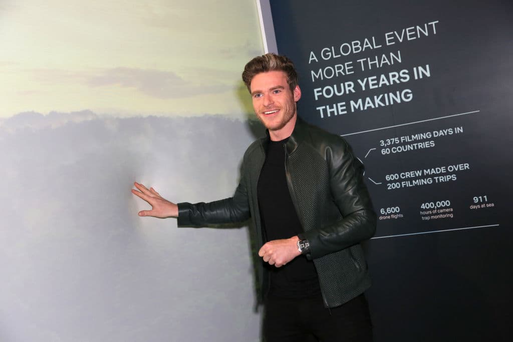 Cinderella (2015) - Cuenta las andanzas de la Ella, una joven cuyo padre, un comerciante, vuelve a casarse tras enviudar. Para agradar a su padre, acoge con cariño a su madrastra y a sus hijas en la casa familiar.
<br>