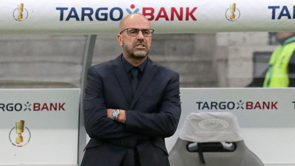 Bayer Leverkusen destituye a Peter Bosz como entrenador