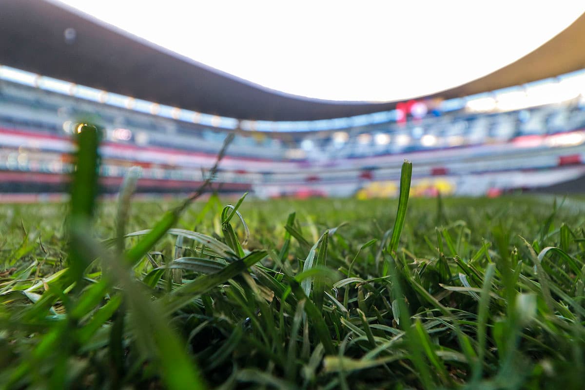 El verde ha renacido en el campo de juego del estadio más importante de los mexicanos, el Estadio Azteca.