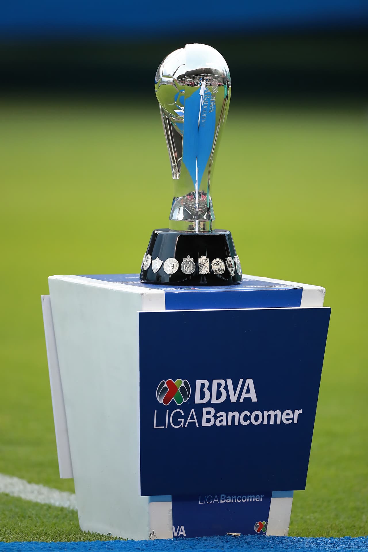 Con base en su desempeño futbolístico, números e historia, este es el análisis de los equipos que están en Liguilla del Apertura 2019.