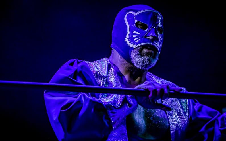 Blue Panther