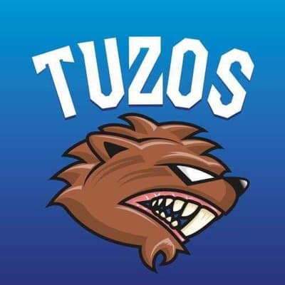 Este fue el logo que ocupó el equipo hidalguense.