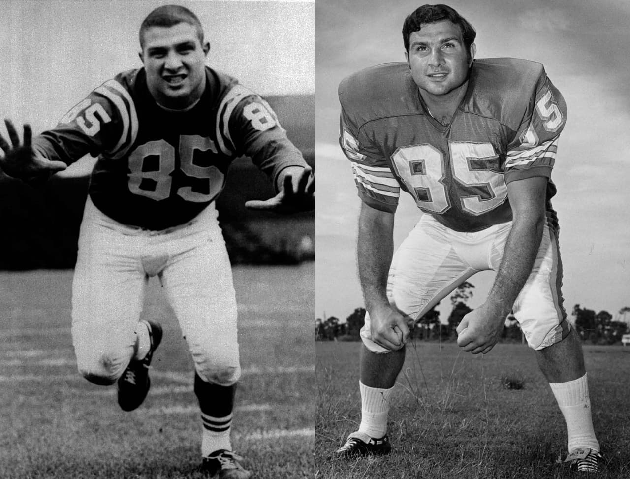 Dos caras: Nick Buoniconti patriota-delfín