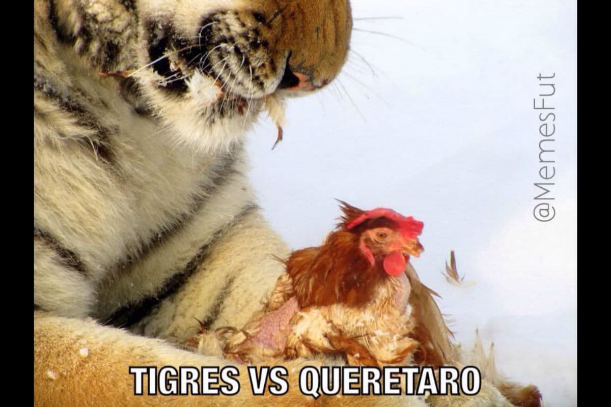 Memes de la jornada 7 Apertura 2015