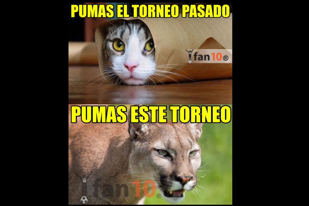 Memes de la jornada 7 Apertura 2015