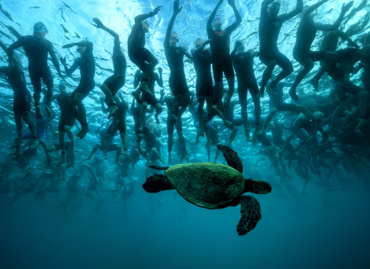 Sin embargo, no todo es deporte olímpico. Esta bella postal hace parte de una competencia de la Copa Mundo de Ironman en Hawai. La tortuga verde 'Honu' es uno de los símbolos de buena suerte y longevidad en esta isla estadounidense.