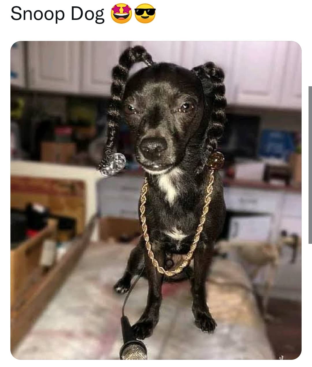 Disfruta los mejores memes del Super Bowl LVI, donde Los Angeles Rams levantaron el Vince Lombardi sobre Cincinnati Bengals y el show de medio tiempo estelarizado por Eminem, 50 Cent, Dr. Dre, Kendrick Lamar y Mary J. Blige, se llevó todas las palmas y también todos los memes.