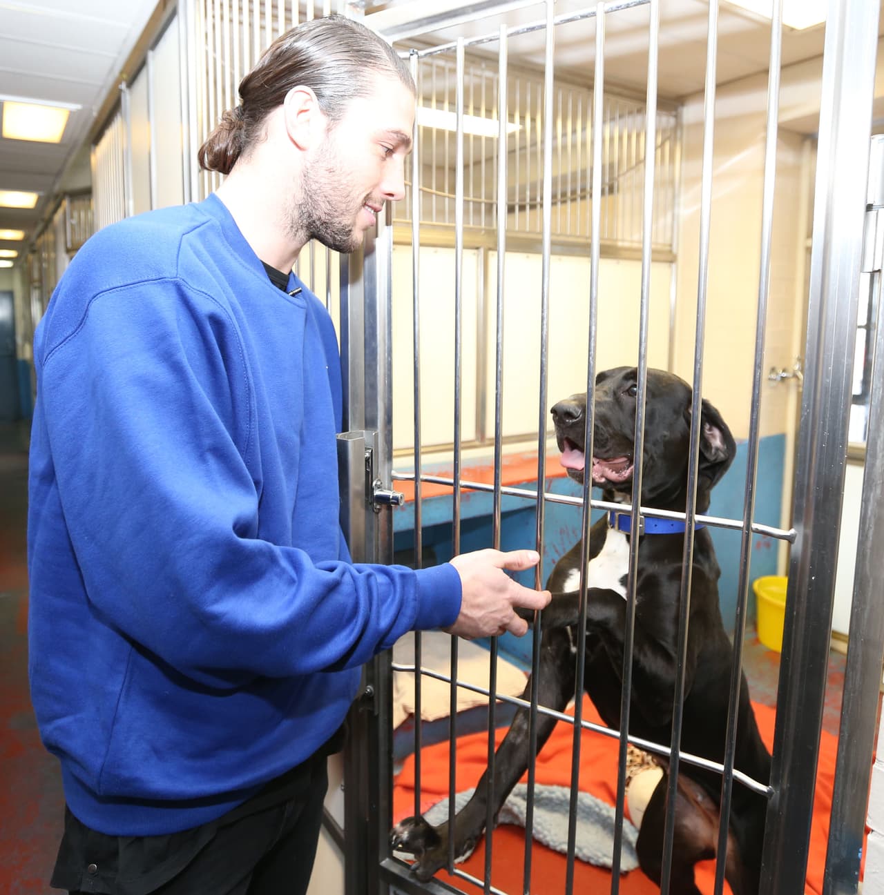 'Buffy' le robó el corazón al delantero estrella, quien abogó por un hogar para ella.