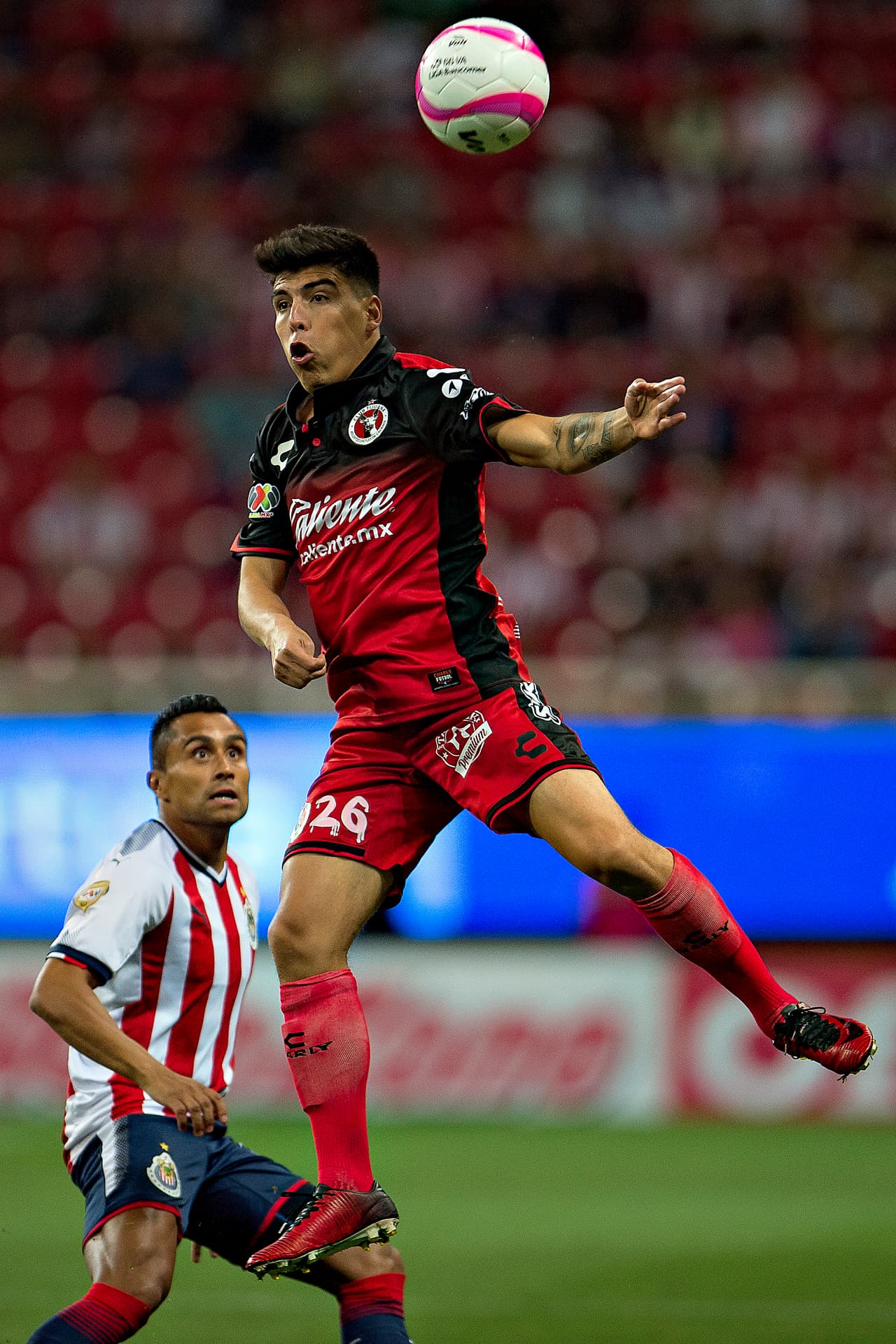 Los Xolos recibirán la visita del León en la Jornada 16 y están obligados a ganar si quieren mantenerse con posibilidades de clasificar.