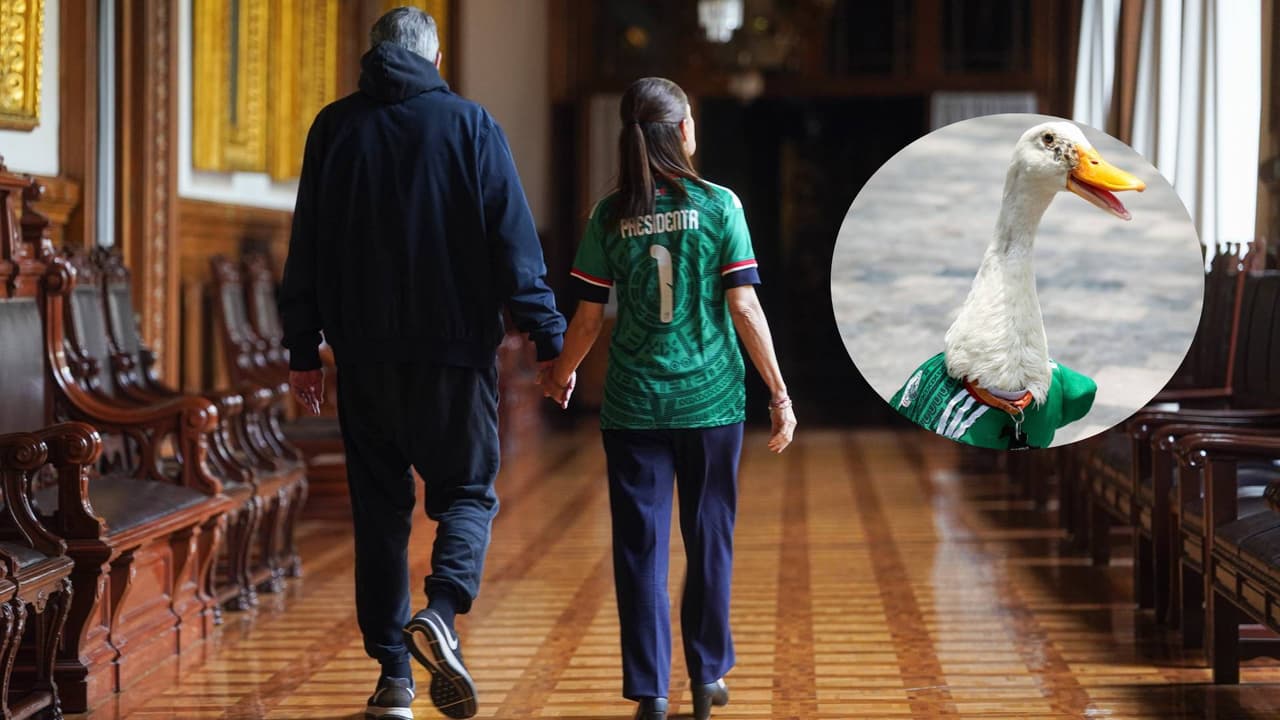 Sheinbaum invita al Pato Merlín a la Mañanera: el ícono viral del Mundial 2026 llega a Palacio Nacional