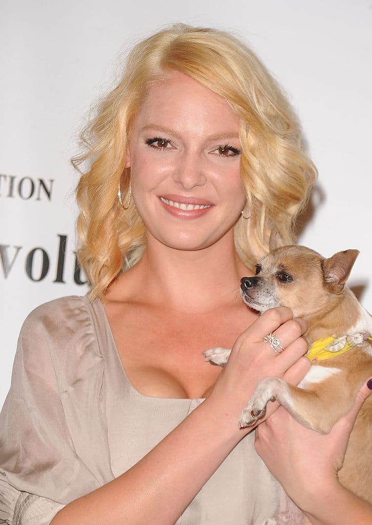 Katherine Heighl formó parte de esta lista que, desafortunadamente, ha sido difícil dejar.