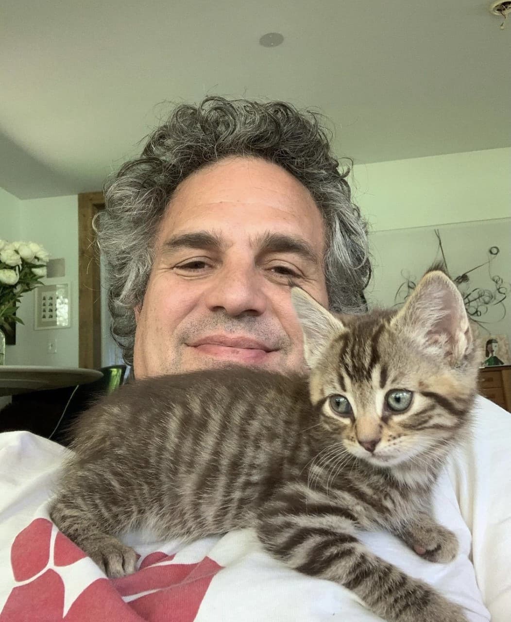 El gran problema llega cuando su primer esposo las reconoce como Victoria y decide que no está listo para volver a perderla tan fácilmente.
<br>