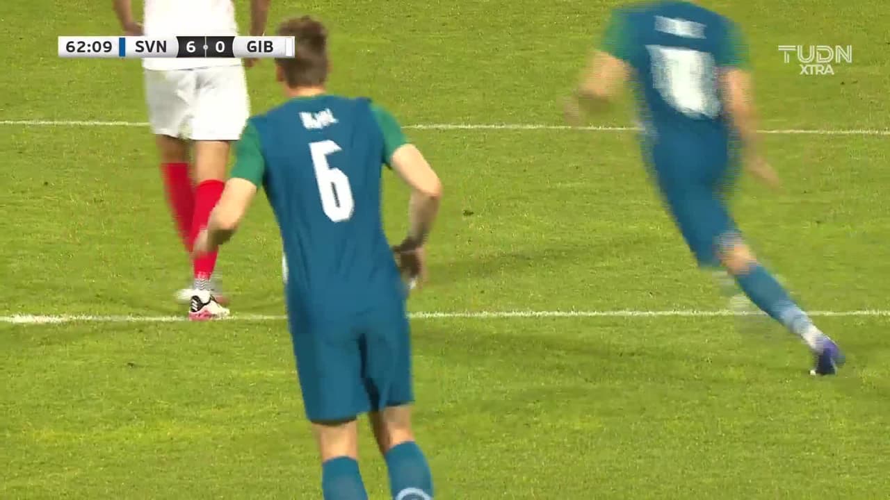 ¡GOL!  anota para Eslovenia. Jon Gorenc-Stankovic