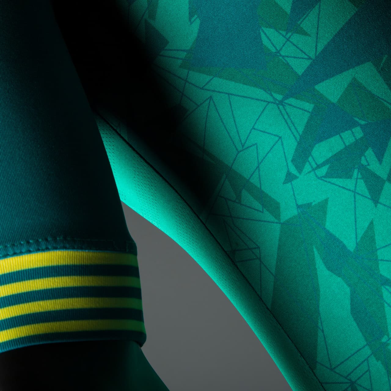 La Fiera anunció sus nuevos jerseys con los que afrontará la nueva temporada del fútbol mexicano. La playera principal cuenta con un diseño de león en el pecho y la alternativa con detalles amarillos y blancos. El Club León vestirá de gala en cada jornada.