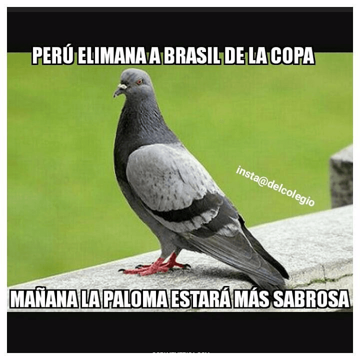 La eliminación de Brasil con un polémico gol de Perú no fue perdonada por las redes sociales que con memes se burlaron.