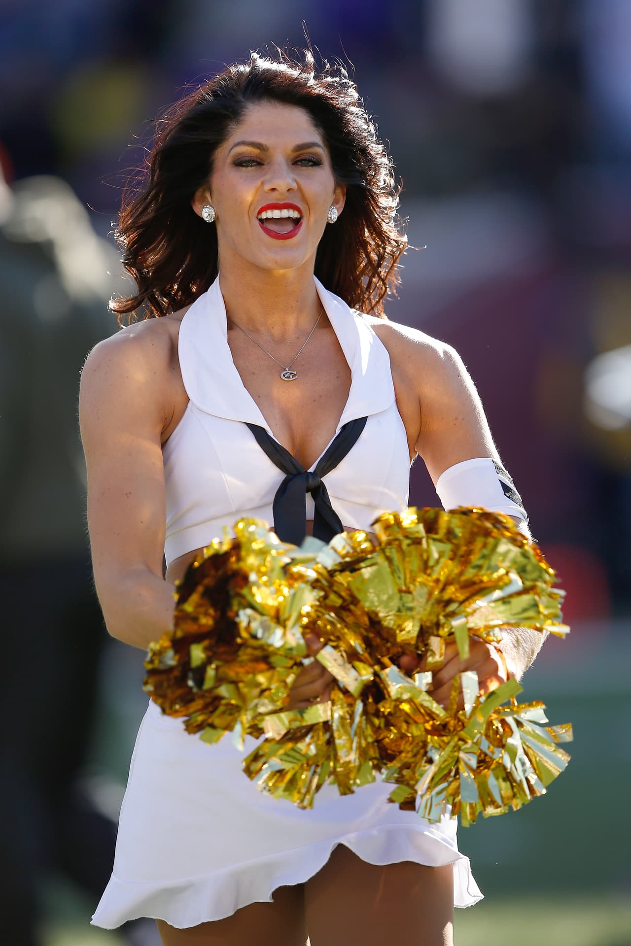 De los ocho equipos de la NFL en la Ronda de Comodines, Bengals, Texans, Chiefs, Vikings, Redskins y Seahawks tienen porristas y NFL.com/Español te regala un collage con las mejores imágenes de todas ellas. ¡Disfrútalo!