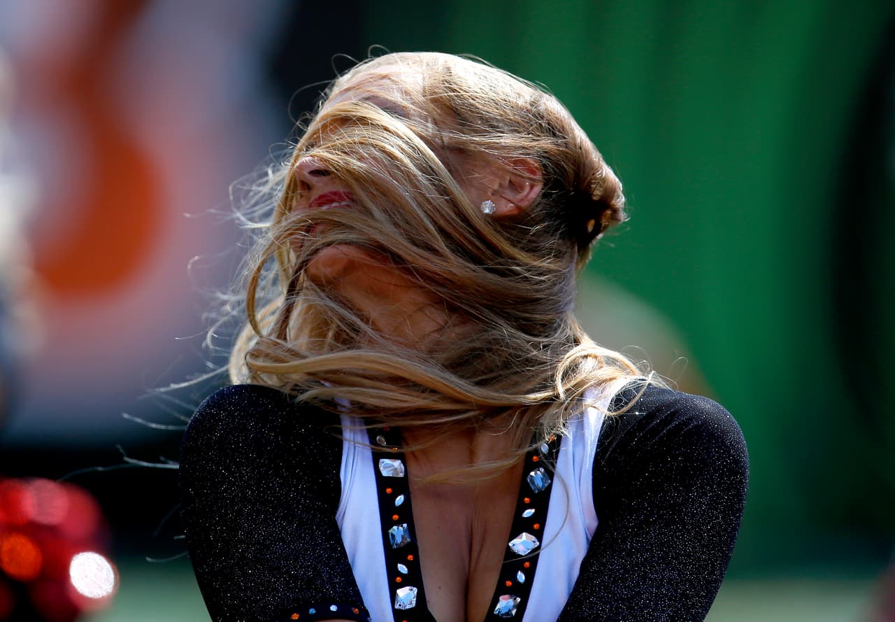 De los ocho equipos de la NFL en la Ronda de Comodines, Bengals, Texans, Chiefs, Vikings, Redskins y Seahawks tienen porristas y NFL.com/Español te regala un collage con las mejores imágenes de todas ellas. ¡Disfrútalo!