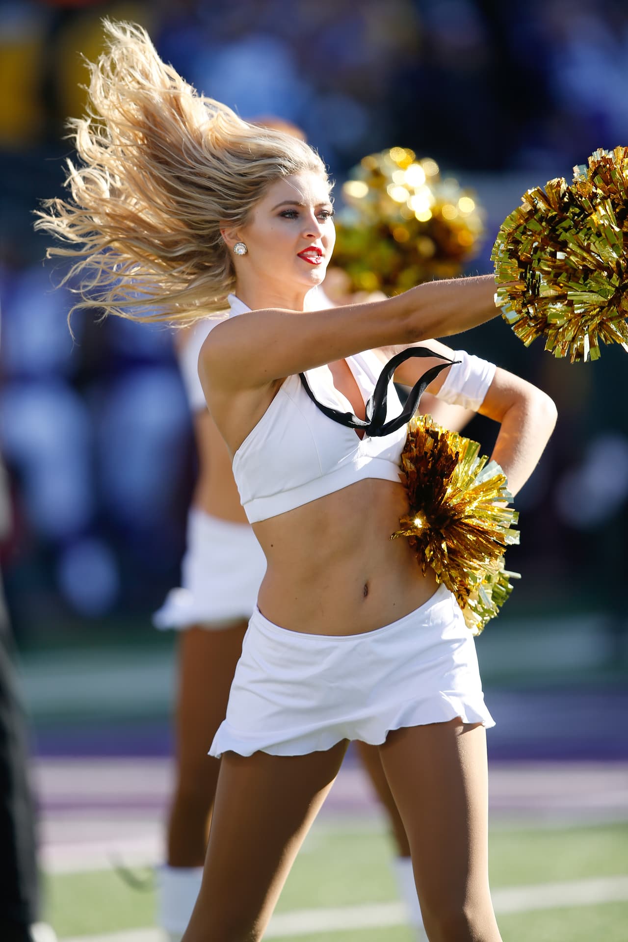 De los ocho equipos de la NFL en la Ronda de Comodines, Bengals, Texans, Chiefs, Vikings, Redskins y Seahawks tienen porristas y NFL.com/Español te regala un collage con las mejores imágenes de todas ellas. ¡Disfrútalo!