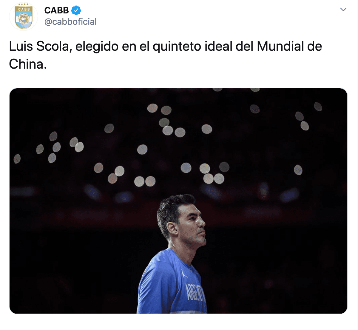 Nombrado mejor ala pivote de la competencia, Luis Scola.