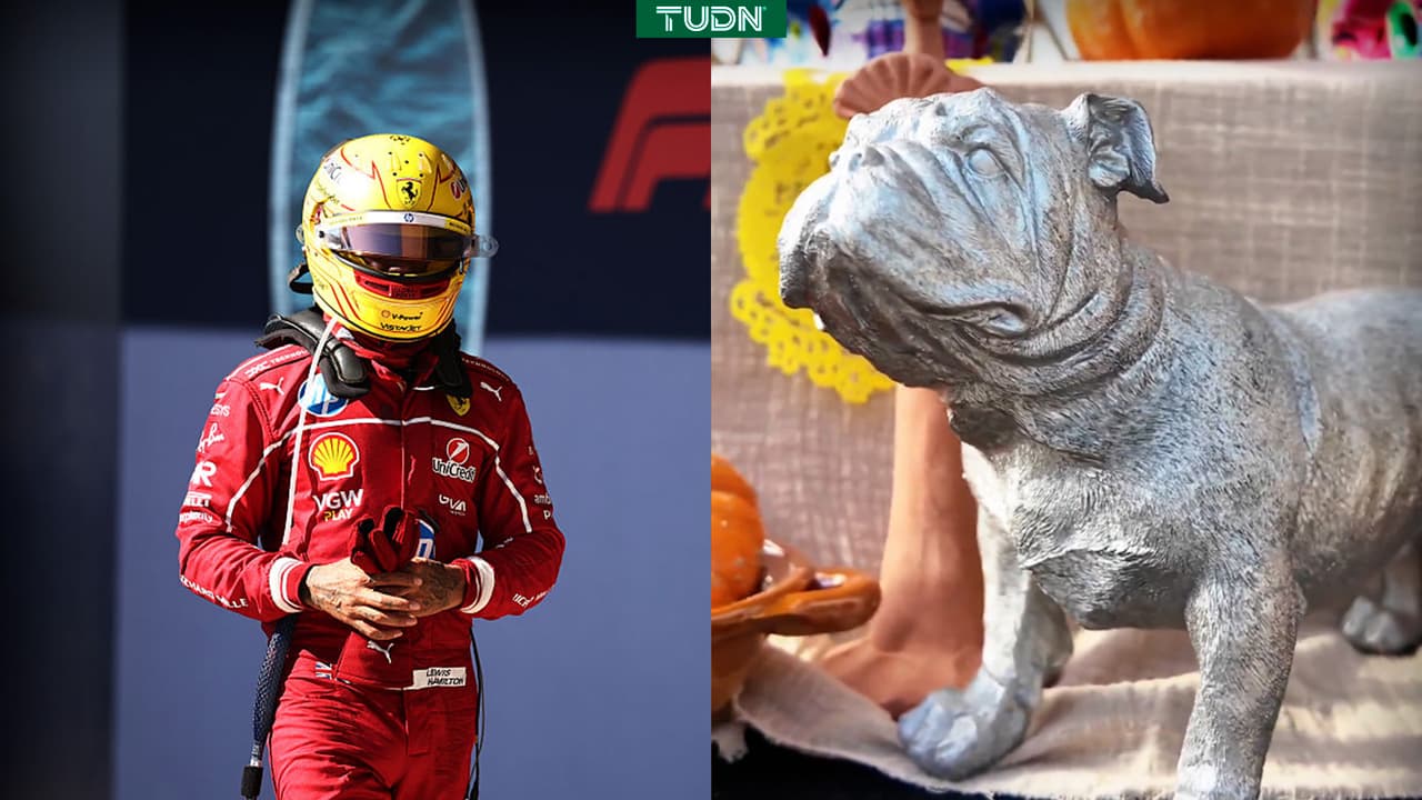 Lindo gesto del GP de México con Roscoe, la mascota fallecida de Lewis Hamilton