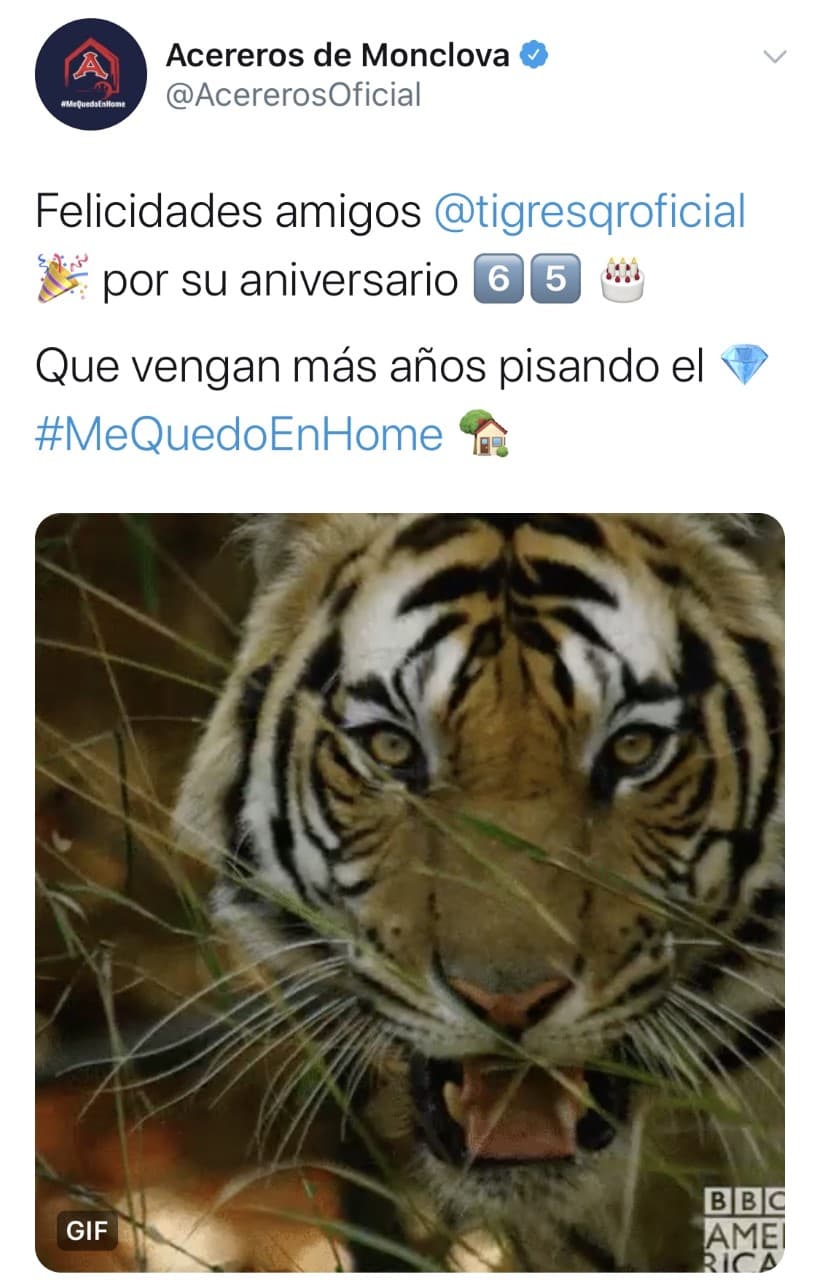 Las redes sociales se llenaron de felicitaciones por los 65 años de los Tigres de Quintana Roo.