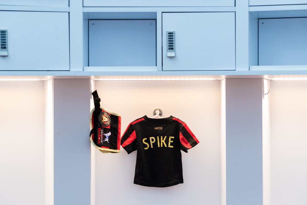 Él es Spike, el perro que busca servir como entrenamiento de perros y porta con gusto la playera del Atlanta United. Su misión es ayudar en algún momento a ayudar a un veteranos que lo necesiten.