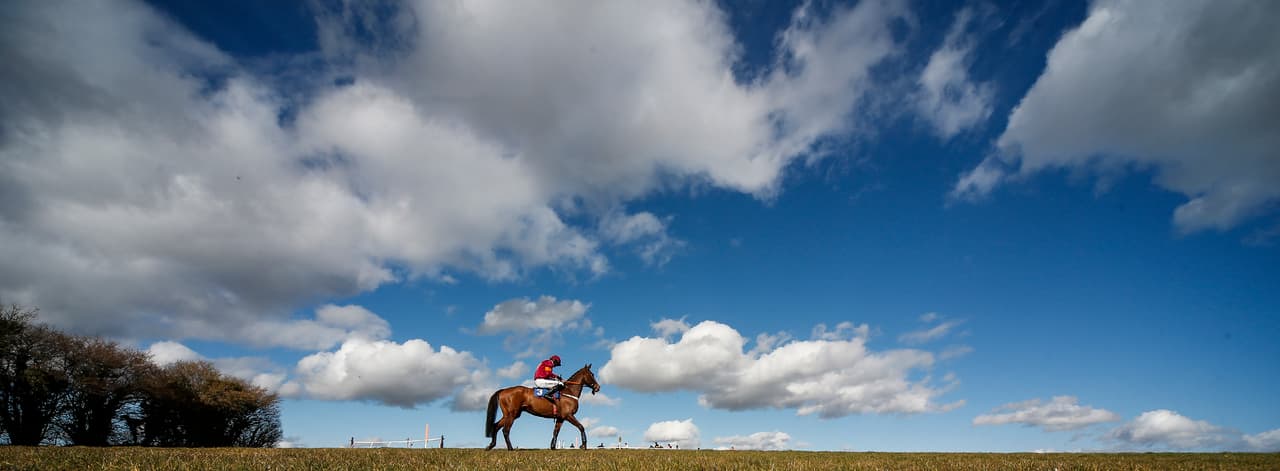 En el rigor de las competencias muchas veces aparecen postales deportivas, que como en este caso en una competencia de equitación en Wincanton (Inglaterra) ofrecen paisajes e imágenes espectaculares.
