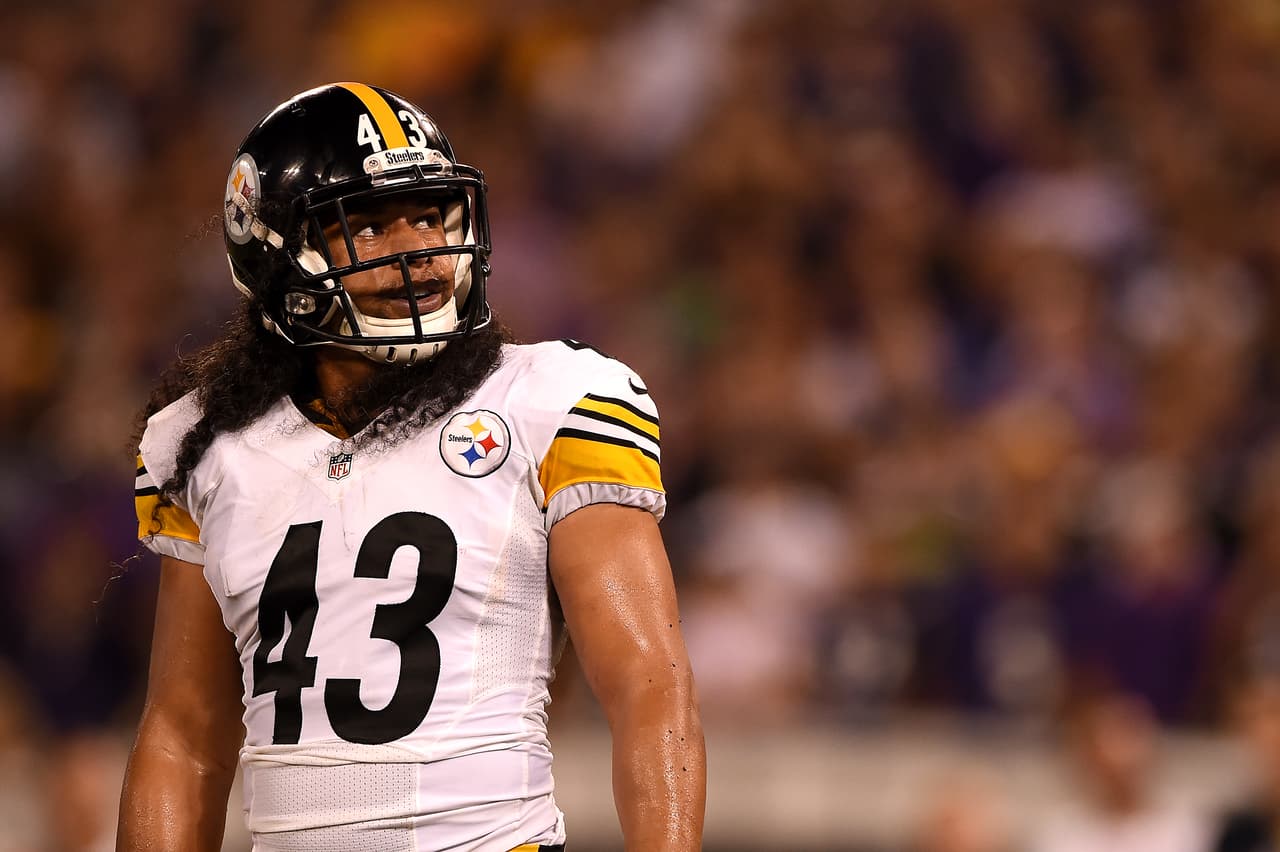 Troy Polamalu