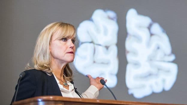 <b>¿Qué es el ETC? </b>
<br>Consta en una enfermedad degenerativa al cerebro que causa trastornos en el comportamiento.