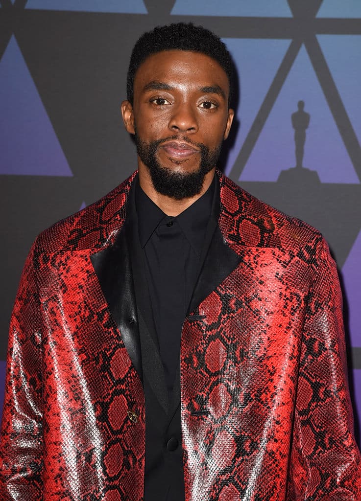 HOLLYWOOD, CA - NOVEMBER 18: Chadwick Boseman attends the Academy of Motion Picture Arts and Sciences' 10th annual Governors Awards at The Ray Dolby Ballroom at Hollywood & Highland Center on November 18, 2018 in Hollywood, California. (Photo by Kevin Winter/Getty Images)