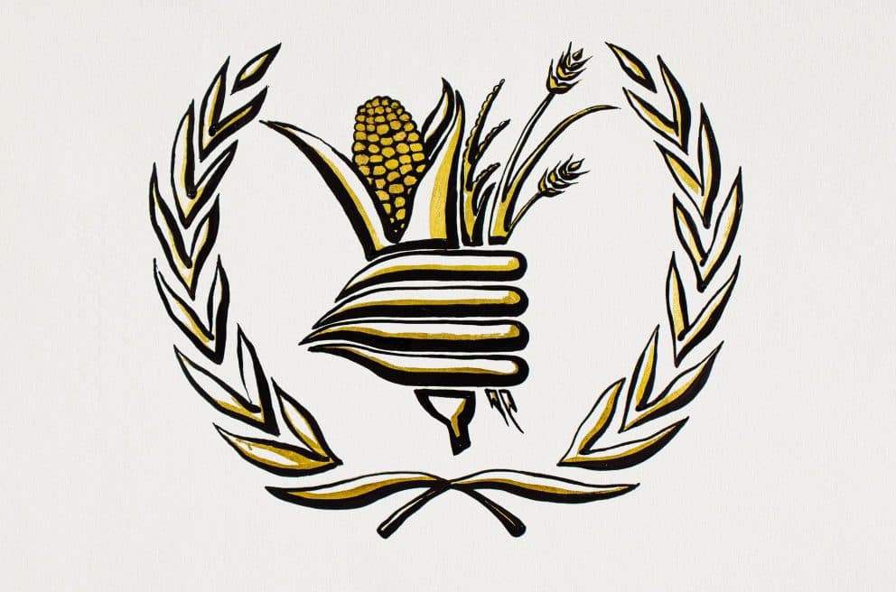 El Programa Mundial de Alimentos de la ONU recibe el Premio Nobel de la Paz "por sus esfuerzos en la lucha contra el hambre"