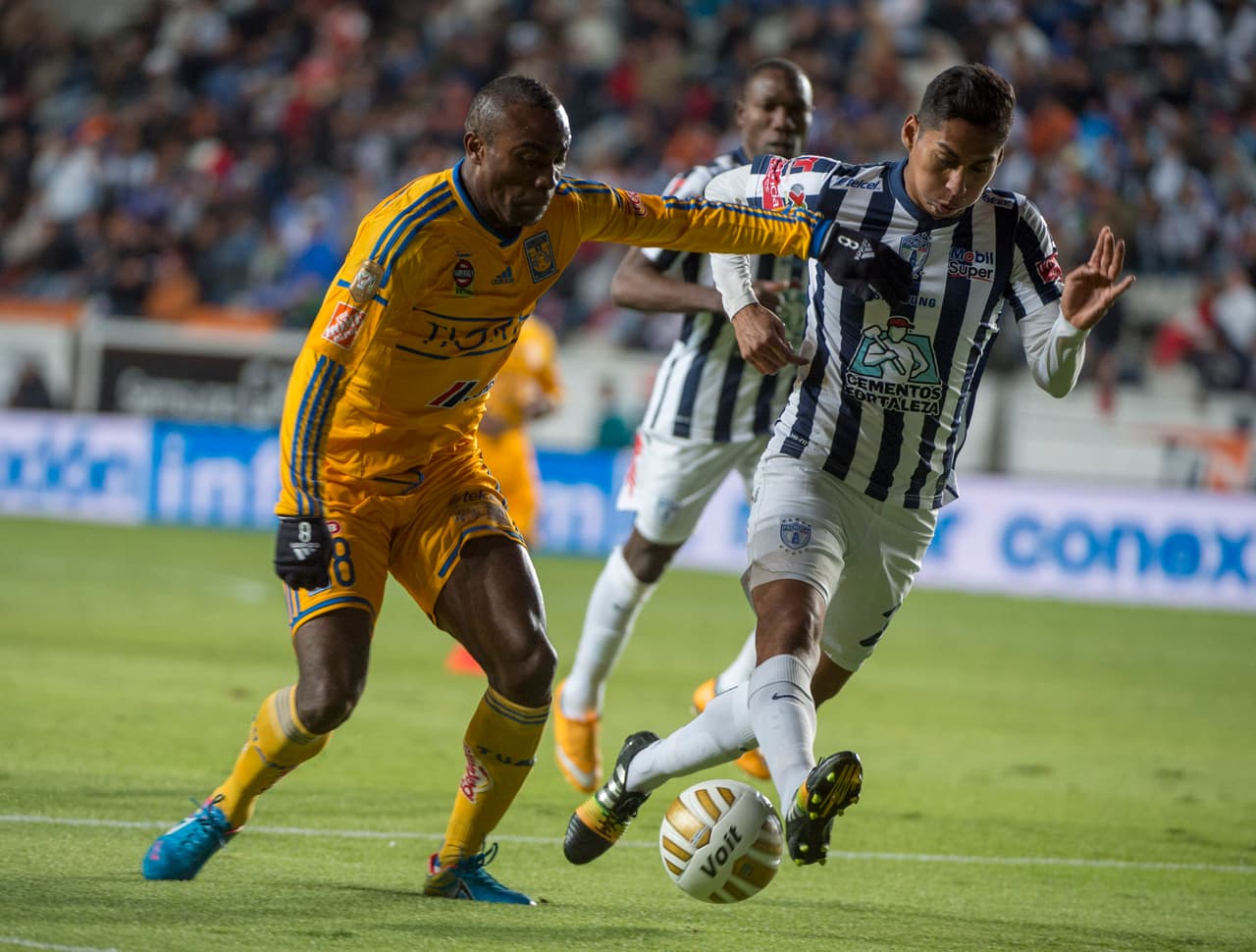 Pachuca, los Tuzos parecen volver a apostar a la cantera pues se deshicieron de buenos elementos de su plantilla y en cambio trajeron sólo a Hugo Rodríguez, Omar Esparza de Chivas y Francisco Flores para darle fuerza a la defensa.