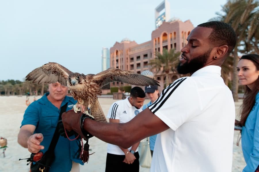 El central Sebastien Ibeagha no teme a las aves rapaces. (New York City FC)