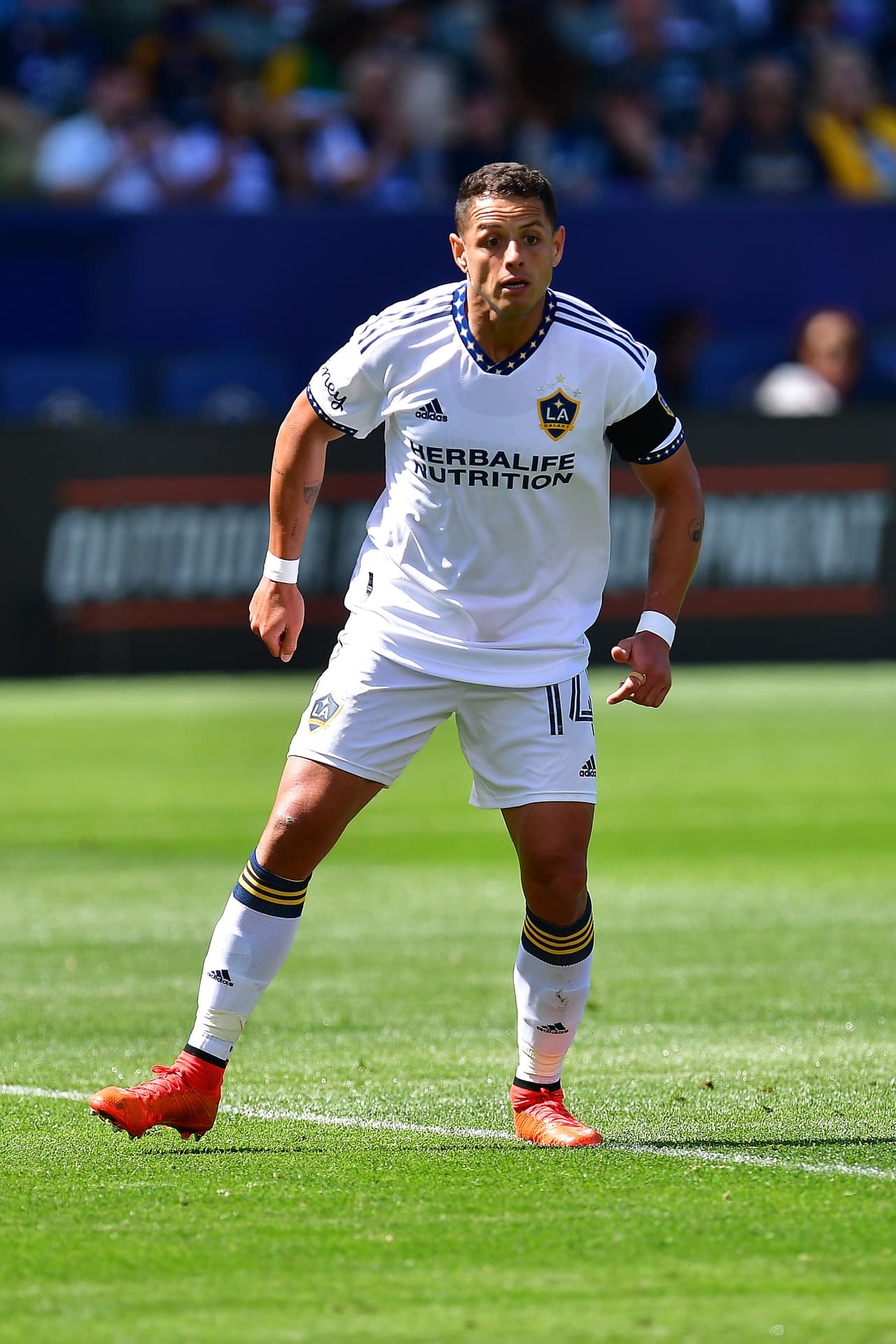 Chicharito Hernández puso todo de sí, pero LA Galaxy cayó en casa el sábado ante Orlando City SC.
<br>