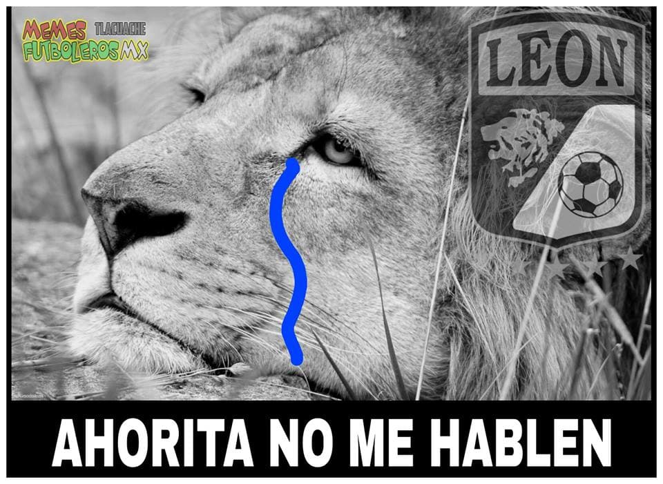 Te presentamos los mejores memes que nos arrojó la jornada sabatina en los Cuartos de Final de la Liguilla en el Apertura 2017