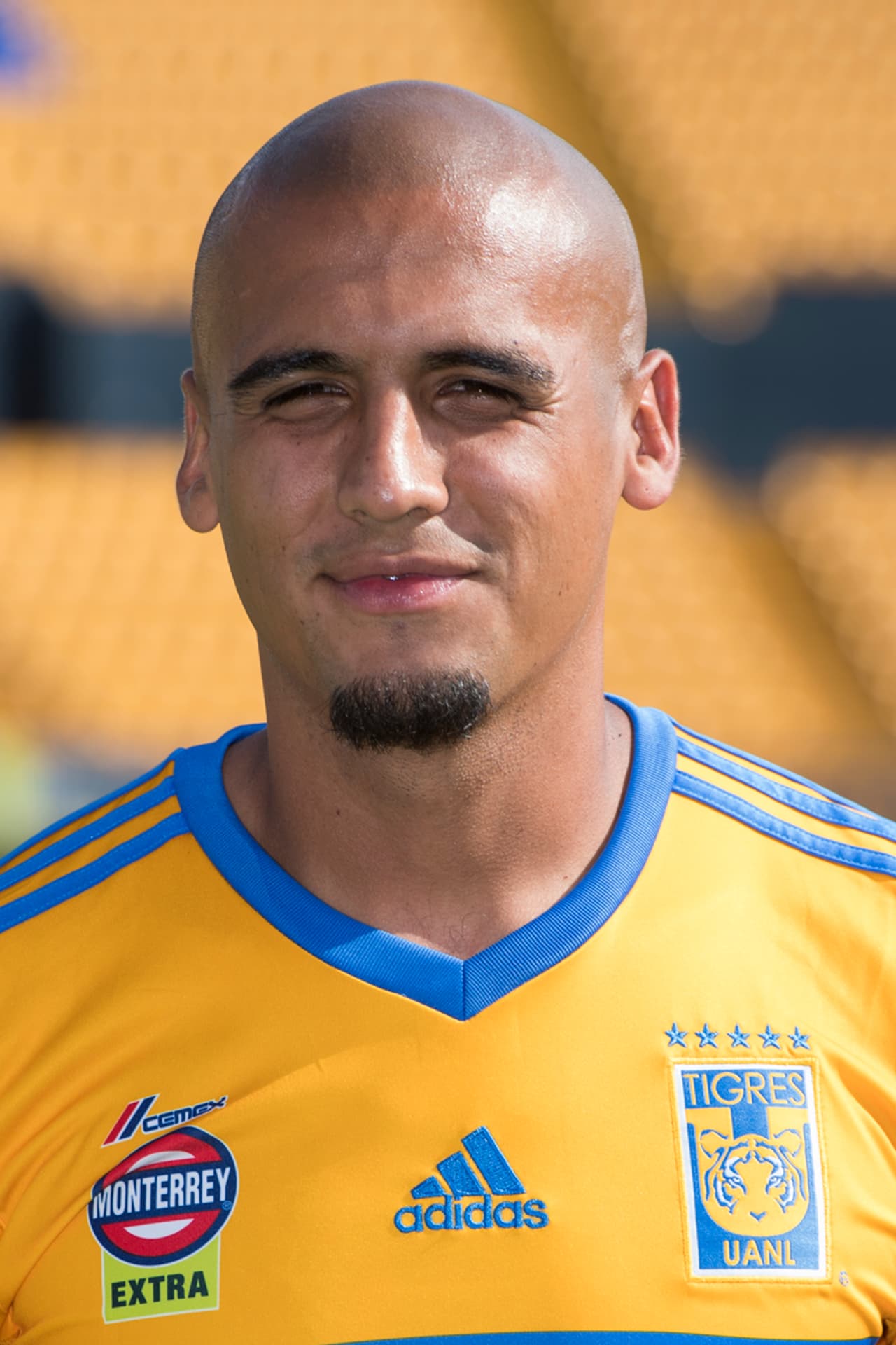 08 Luis Rodríguez - Tigres: Los equipos del norte han sido una constante en nuestros conteos semanales. Luis Rodríguez sumó 8 puntos en la jornada 14.