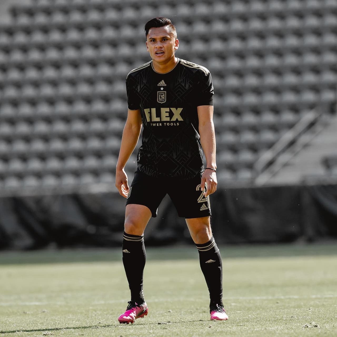 Maldonado tuvo una participación muy activa en los partidos de pretemporada, y llega a la MLS desde el Motagua, tras haber estado cedido previamente en Pachuca de la Liga MX y en el Everton del fútbol chileno.