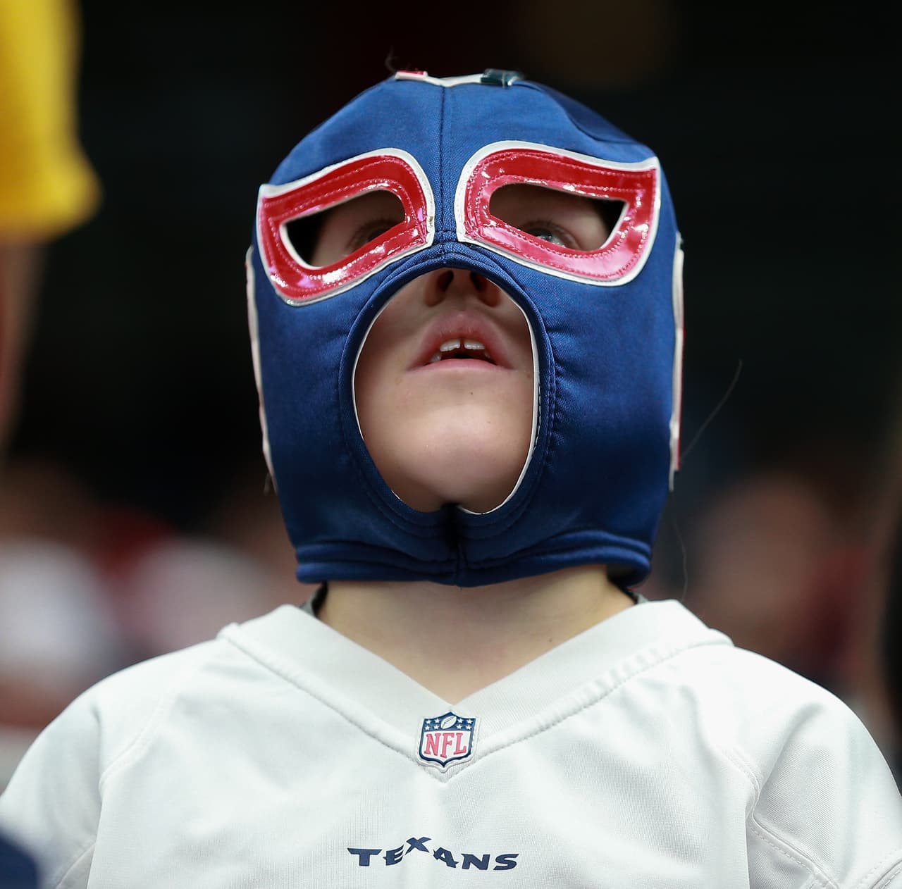 HOUSTON, TX - NOVEMBER 27: Houston Texans fans cheer on at NRG Stadium on November 27, 2016 in Houston, Texas. (Photo by Bob Levey/Getty Images)