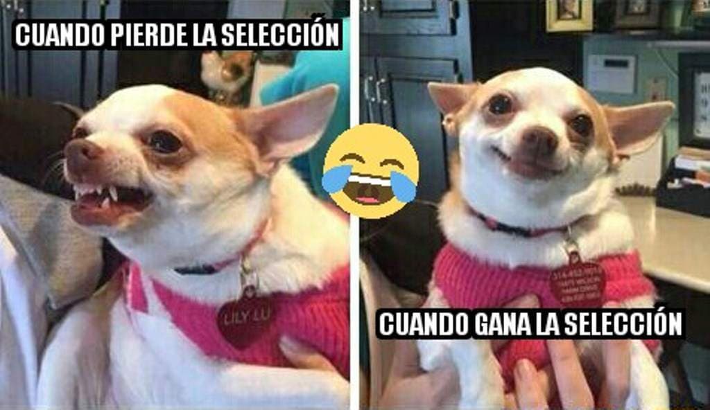 México perdió el invicto, Estados Unidos quedó eliminado y las redes sociales no perdonan. Estos son los mejores memes de la jornada en Concacaf.