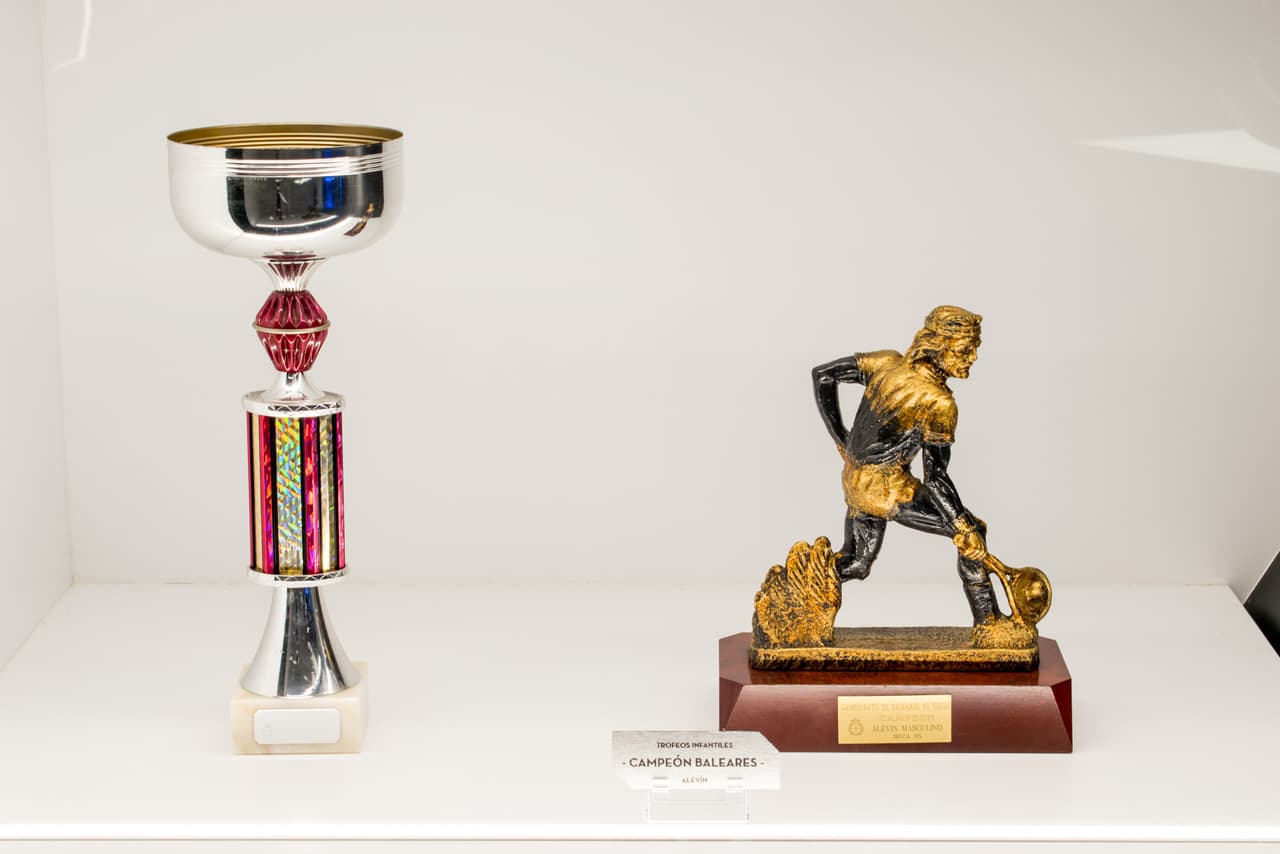 Las ganancias que reúne, están destinadas directamente para la Fundación y sus proyectos.